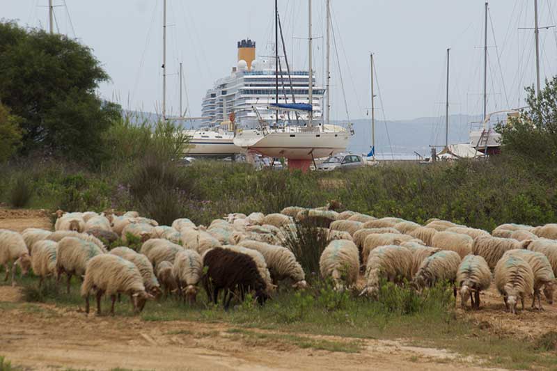 argostoli.jpg